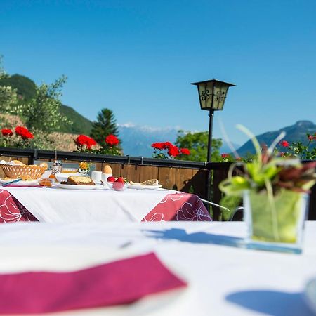 Pension Stamserhof Nalles Bagian luar foto
